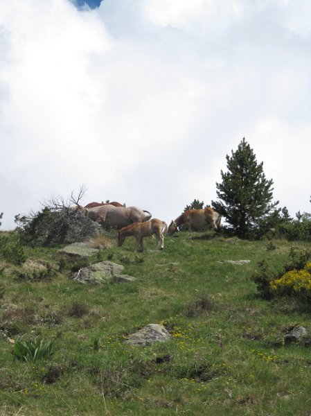 Vall D´Incles