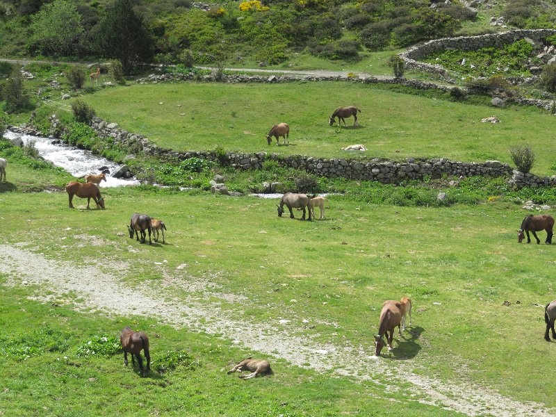 Vall D´Incles